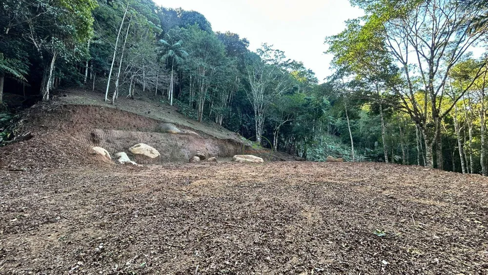 Terreno, 4 hectares - Foto 3