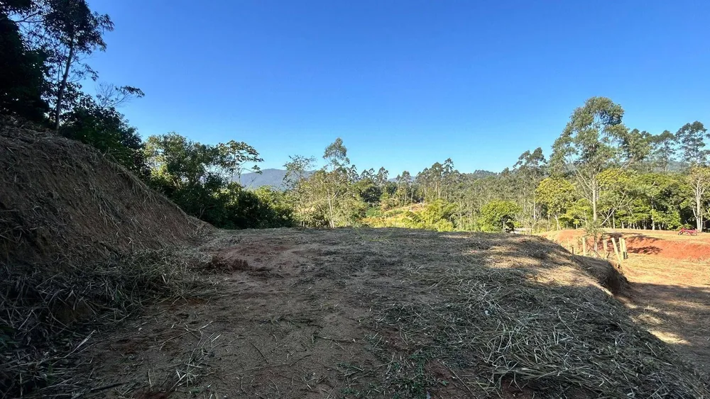Terreno, 4 hectares - Foto 4