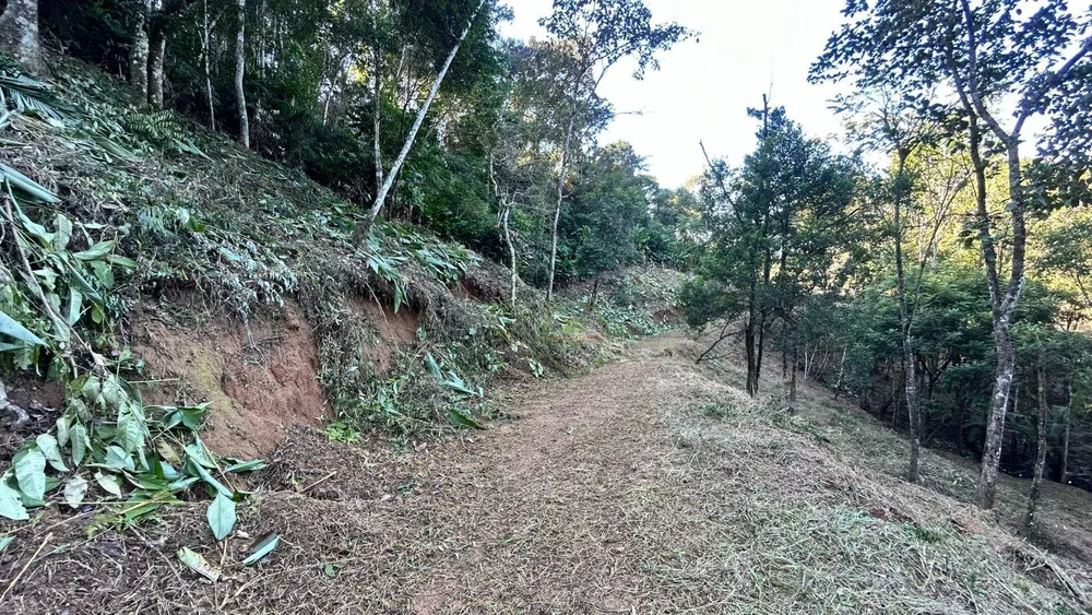 Terreno, 4 hectares - Foto 2