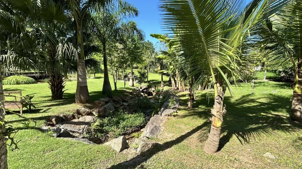 Chácara, 3 quartos, 3264 m² - Foto 6