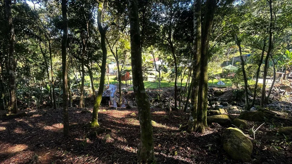 Chácara, 4 quartos, 9929 m² - Foto 8
