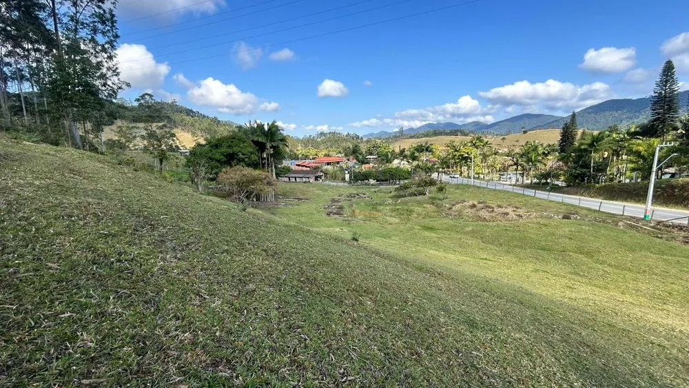Sítio, 10000 m² - Foto 6