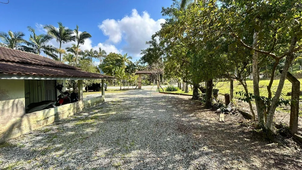 Sítio, 10000 m² - Foto 3
