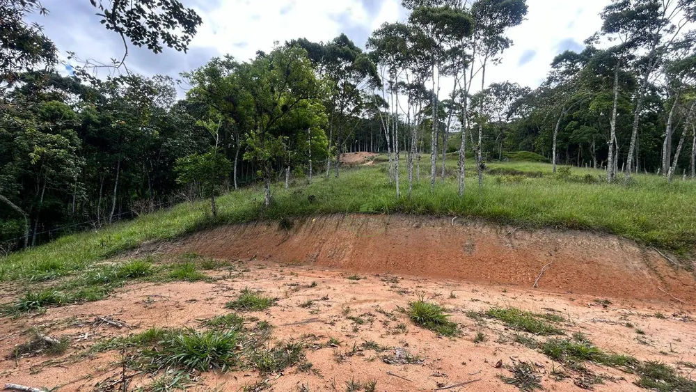 Terreno, 3200 m² - Foto 4