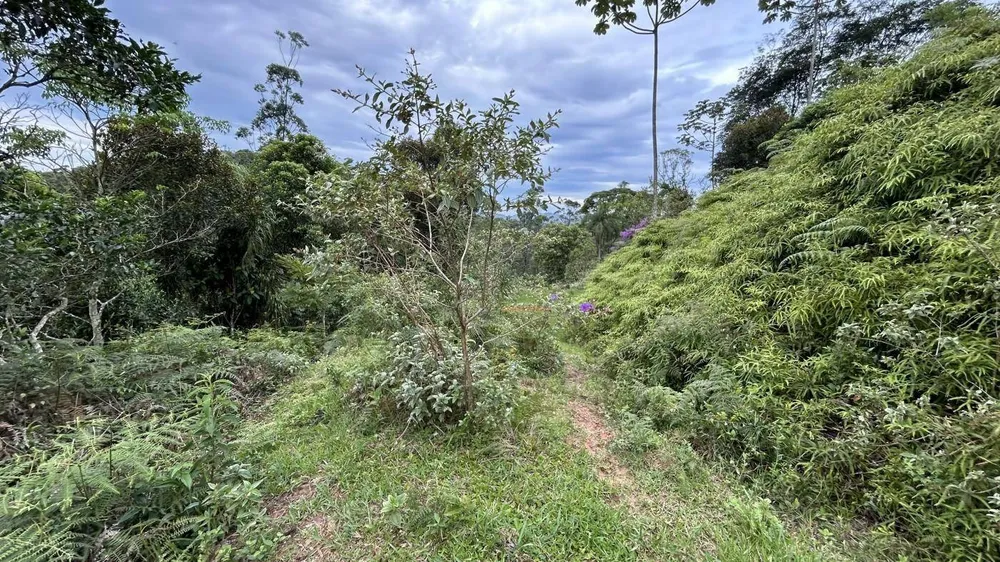 Terreno, 9 hectares - Foto 7