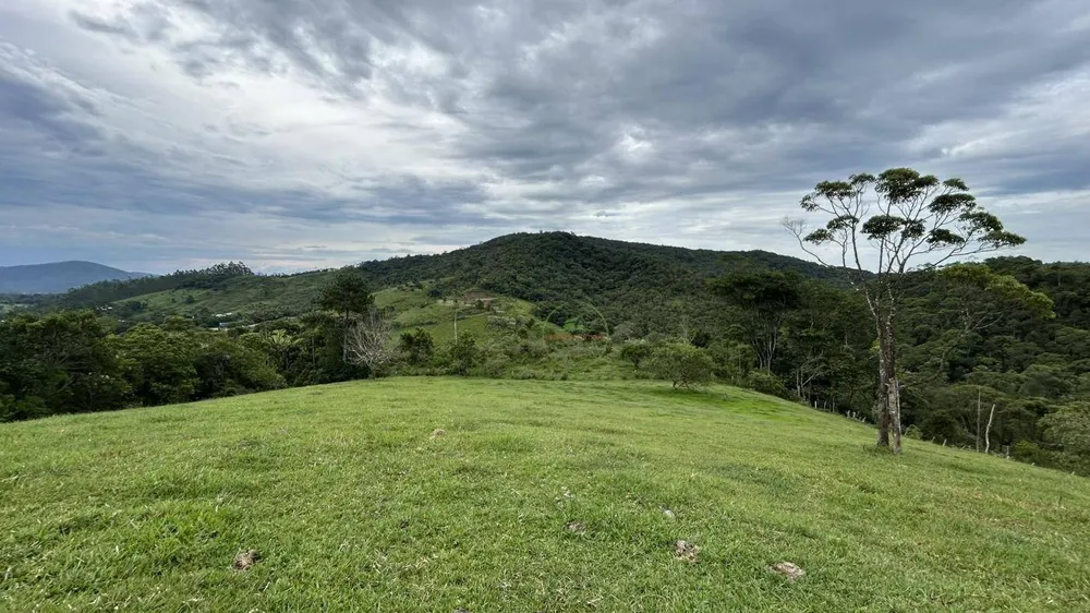 Terreno, 9 hectares - Foto 4