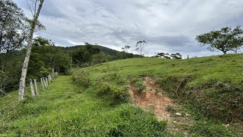 Terreno, 9 hectares - Foto 8
