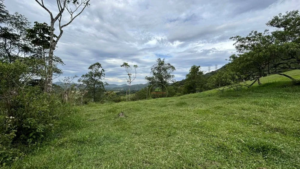 Terreno, 9 hectares - Foto 6