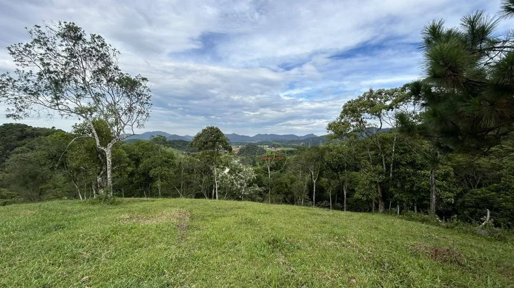 Terreno, 9 hectares - Foto 3