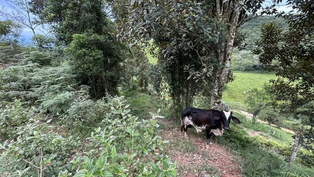 Terreno, 9 hectares - Foto 1
