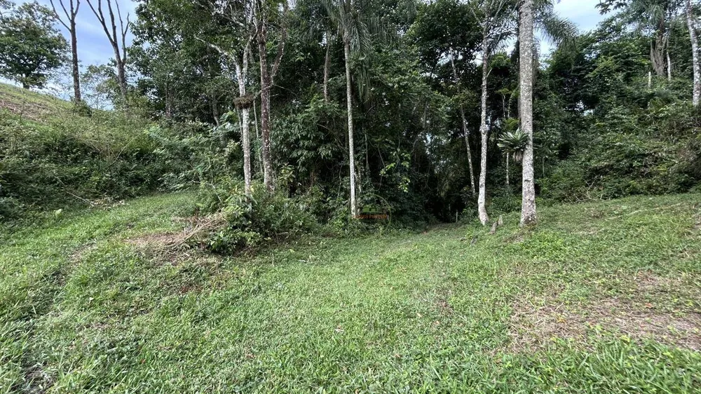 Terreno, 9 hectares - Foto 7