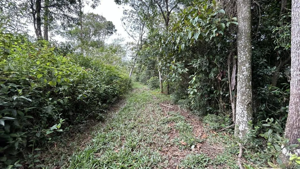 Terreno, 9 hectares - Foto 2