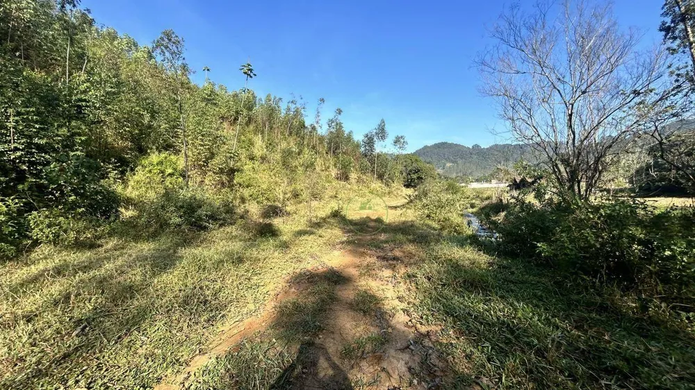 Terreno, 12 hectares - Foto 8