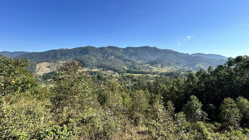 Terreno, 12 hectares - Foto 4
