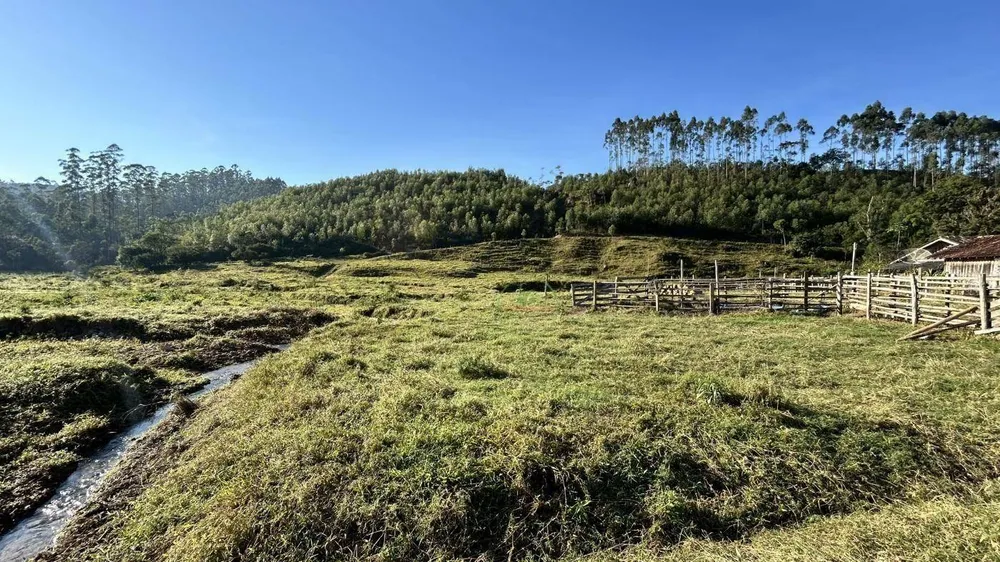 Terreno, 12 hectares - Foto 3