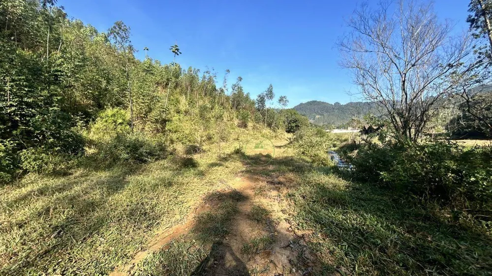 Terreno, 12 hectares - Foto 7