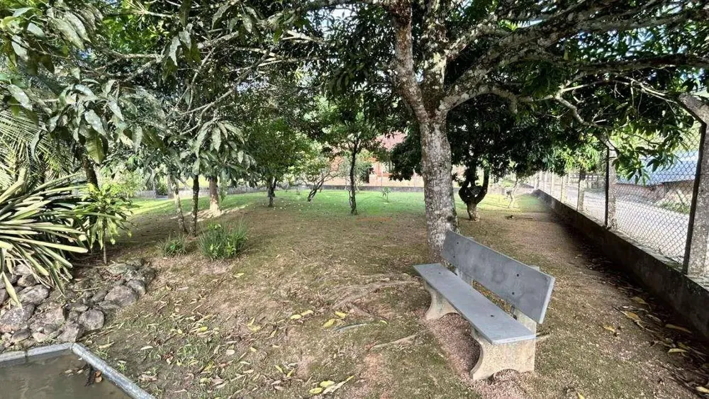 Chácara, 3 quartos, 3600 m² - Foto 7