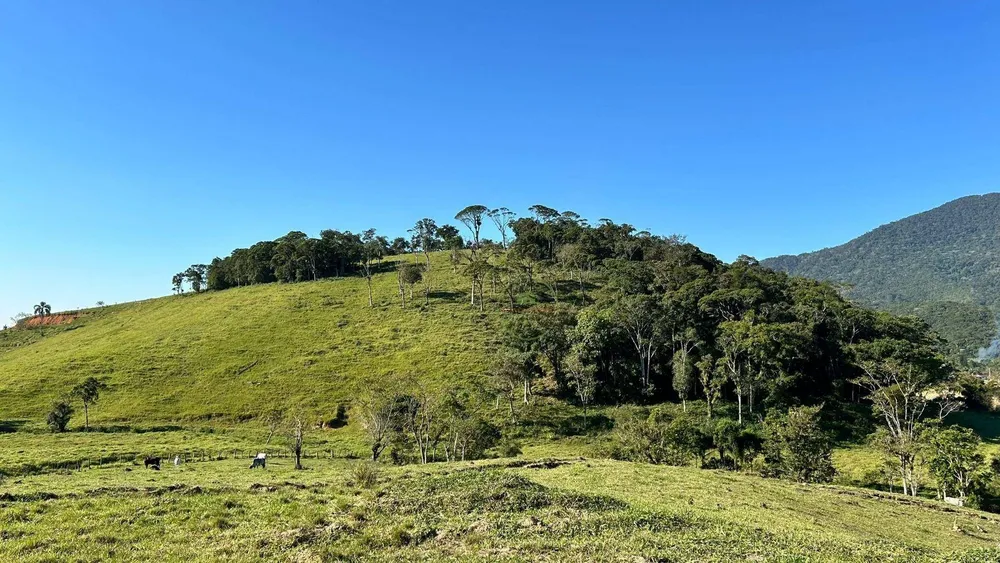 Terreno, 27 hectares - Foto 4