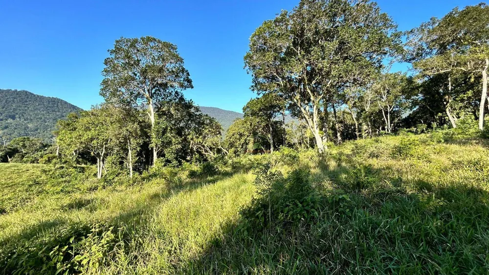 Terreno, 27 hectares - Foto 1
