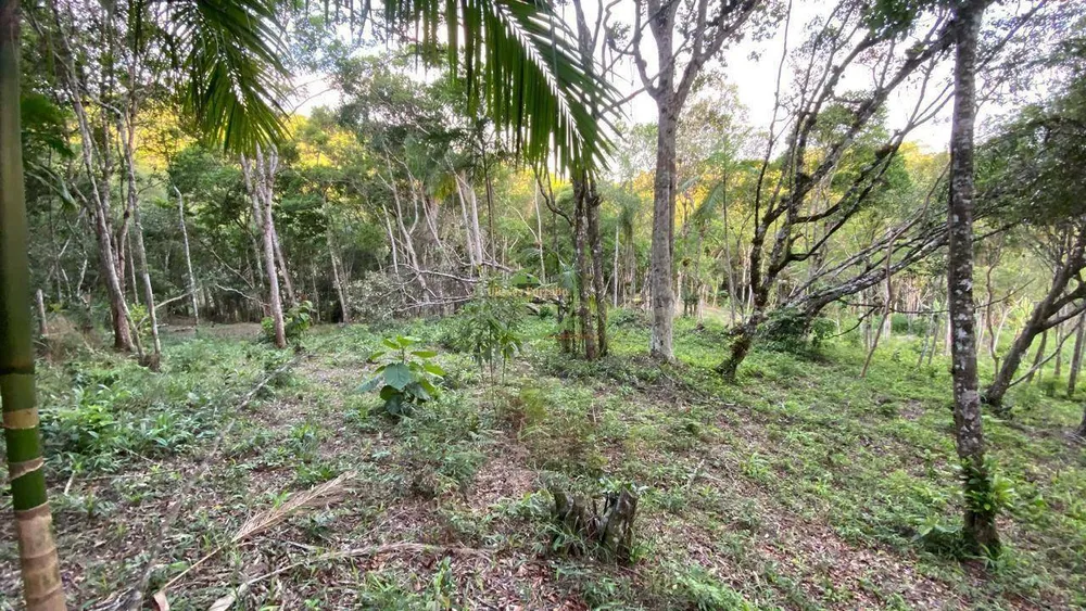 Terreno, 2900 m² - Foto 7