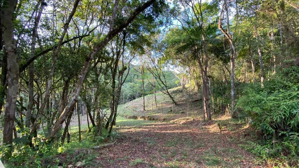 Terreno, 2900 m² - Foto 3