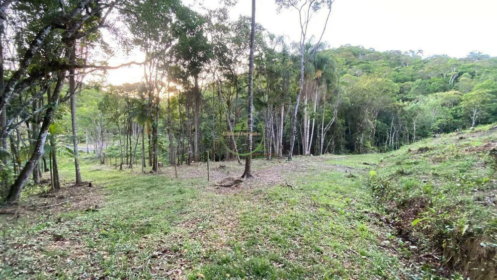 Terreno, 2900 m² - Foto 4