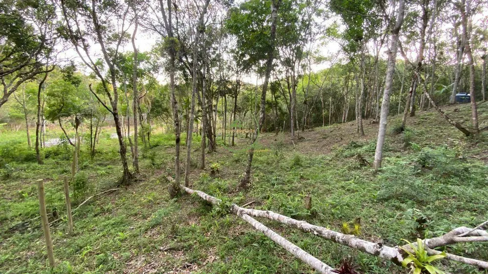 Terreno, 2900 m² - Foto 2