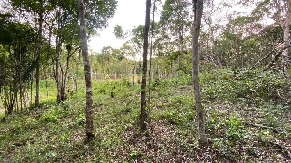 Terreno, 2900 m² - Foto 8