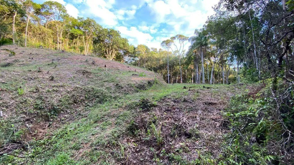 Terreno, 2900 m² - Foto 6