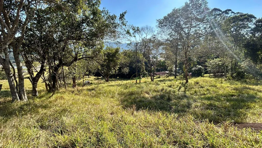 Terreno, 7 hectares - Foto 4
