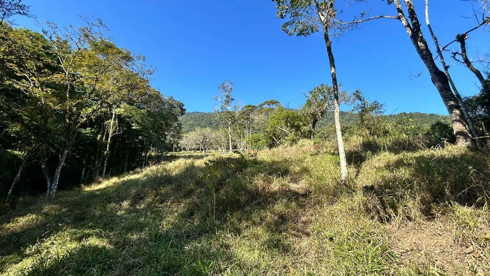 Terreno, 7 hectares - Foto 3
