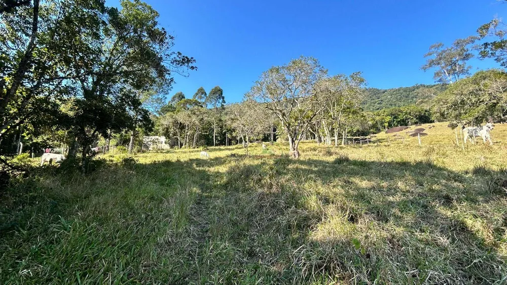 Terreno, 7 hectares - Foto 2
