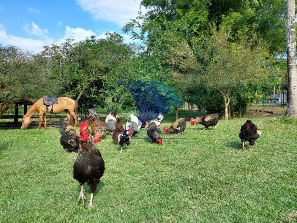 Sítio, 10 quartos, 33 m² - Foto 18