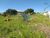 Terreno, 785 m² - Foto 11