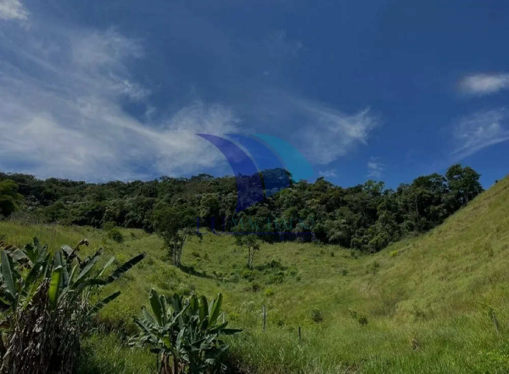 Casa, 5 quartos, 300 m² - Foto 4