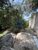 Terreno, 7 hectares - Foto 2