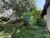 Terreno, 7 hectares - Foto 9
