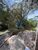 Terreno, 7 hectares - Foto 14