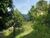 Terreno, 7 hectares - Foto 4