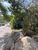 Terreno, 7 hectares - Foto 1