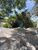 Terreno, 7 hectares - Foto 3