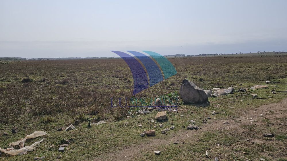 Terreno, 72 hectares - Foto 2