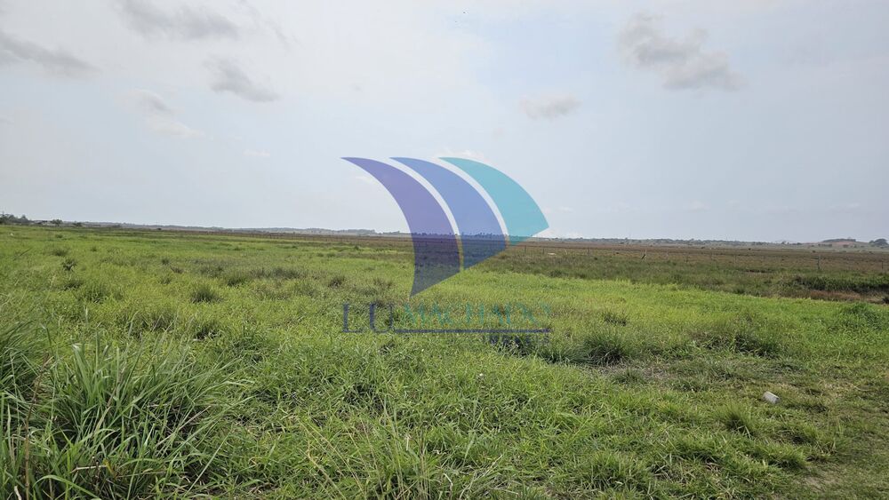 Terreno, 72 hectares - Foto 21