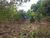 Terreno, 1440 m² - Foto 3