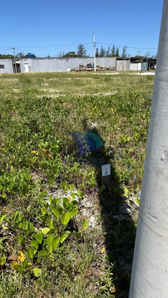 Terreno - Foto 14