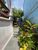 Casa, 3 quartos, 80 m² - Foto 18