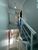 Casa, 3 quartos, 140 m² - Foto 20