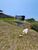 Terreno, 300 m² - Foto 21
