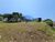 Terreno, 300 m² - Foto 2