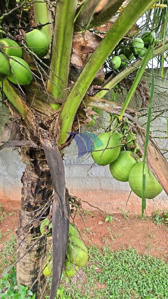 Casa, 3 quartos, 170 m² - Foto 2